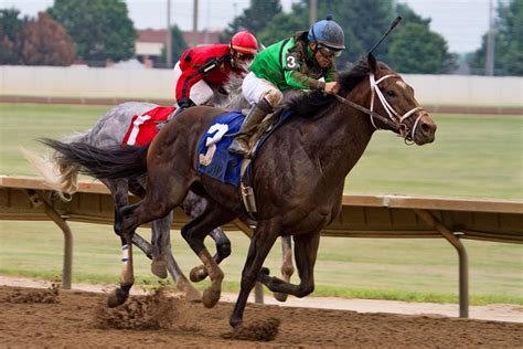 Kentucky State Horse | Thoroughbred