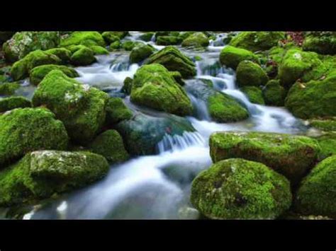 10 Hours Peaceful Waterfall Sounds - YouTube