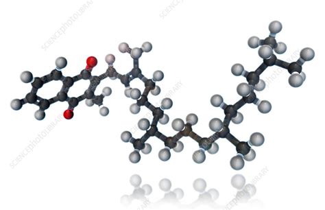 Vitamin K1, Molecular Model, illustration - Stock Image - F031/7615 ...