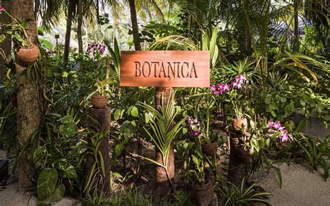 botanica