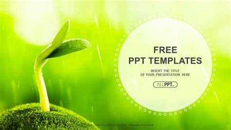 Free Young Plant Sprout Powerpoint Template - DesignHooks