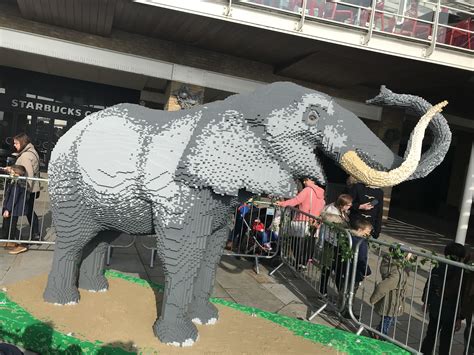 Huge LEGO safari animals at Cardiff Bay! : lego