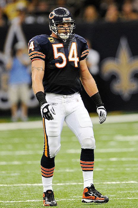 Brian Urlacher Chicago Sports Teams, Chicago Bears Football, Nfl ...