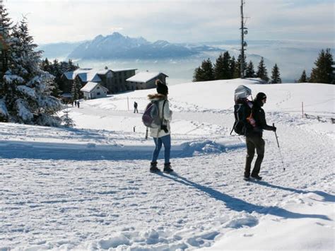 12 Things to Do in Zurich in Winter - Hellotickets