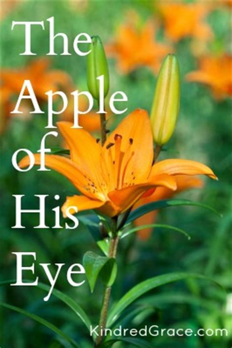 The Apple of His Eye - Kindred Grace