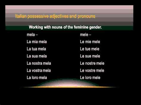 Lesson 21 Learning about Italian possesive pronouns and adjectives ...