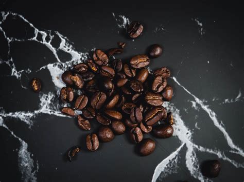 Introduction to Robusta Coffee Beans - Coffee Lovers