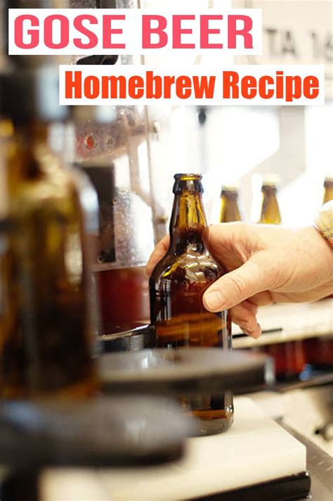 How To Brew Gose Beer [Full Recipe] Homebrew Academy | Homebrew recipes ...