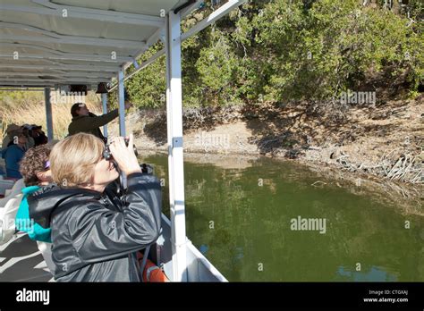 Wildlife boat tour cachuma lake hi-res stock photography and images - Alamy