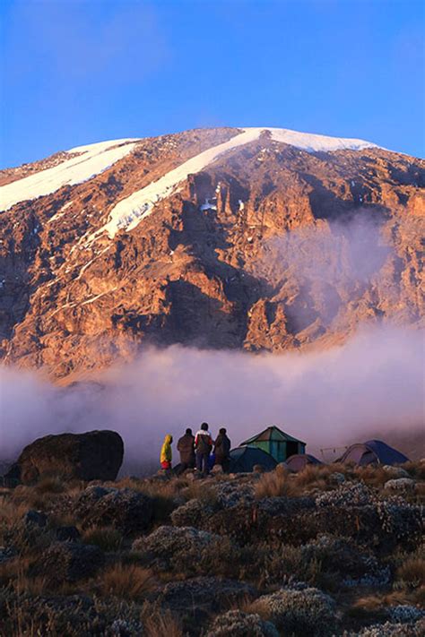 Kilimanjaro National Park - Clemsa Safaris