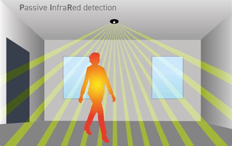 PIR vs Microwave Sensors: Which do you need? - Green Lighting