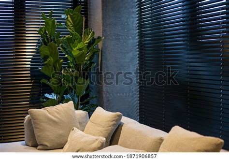 Motorized Wood Blinds Interior Houseplant Near Stock Photo 1871906857 ...