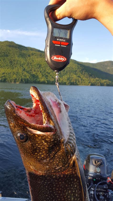 9 lb 4 oz char (lake trout) Quesnel Lake, B.C. Canada. : r/Fishing