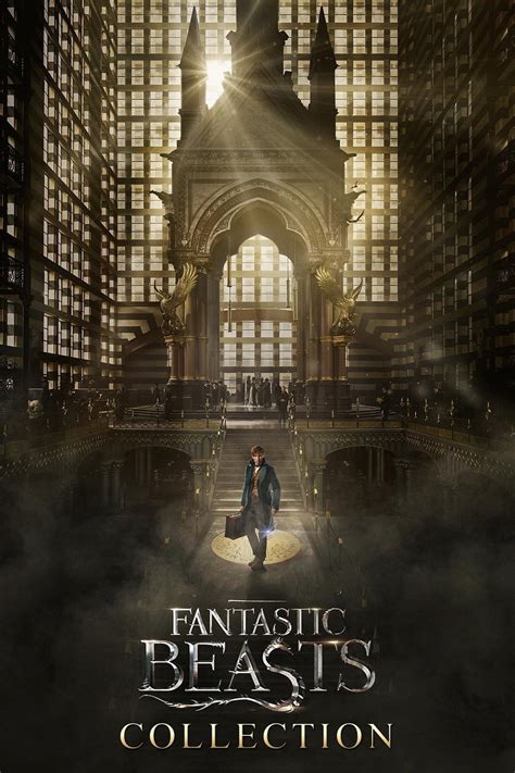 Fantastic Beasts Collection - Posters — The Movie Database (TMDB)