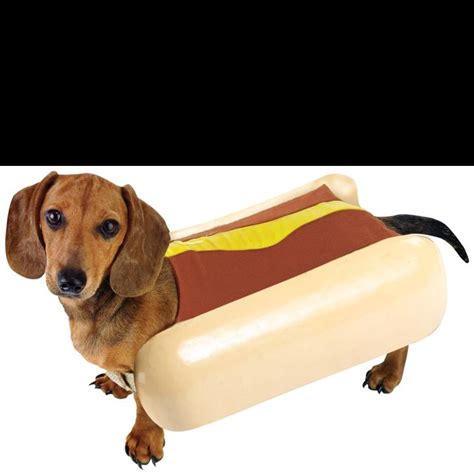 Costume Dachshunds, Hot Dogs, Halloween Costumes, Dachshund, Weenie ...