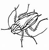 Free Printable Cockroach Coloring Pages For Kids sketch template