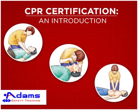 CPR Certification: An introduction | Adams Safety