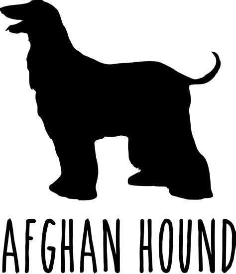 afghan hound - DTF PrintCo