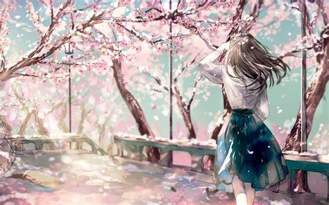 Cherry Blossom, Sakura, Anime Girl, Back View - Sakura Anime Cherry ...