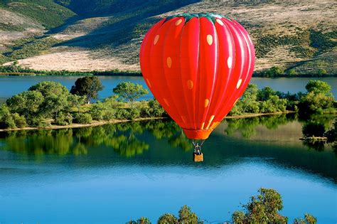 Temecula Valley Balloon & Wine Festival 2024 in California - Rove.me