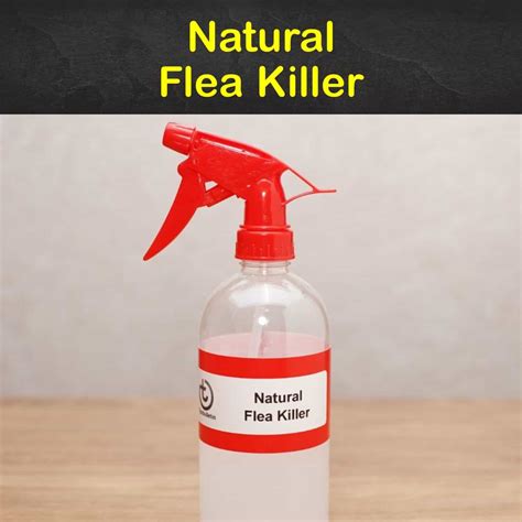 18 Clever DIY Flea Killer Recipes