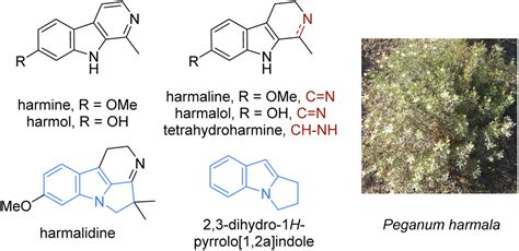 Harmine An Overview ScienceDirect Topics, 53% OFF