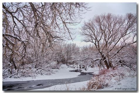 Winter St Vrain River Boulder County Colorado Art Print - The Lightning Man