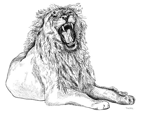 Printable Art, Roaring Lion Drawing, 16x20inches Instant Download Graphic Design Wall Art Print ...