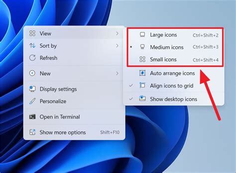 Ways to Change the Desktop Icon Size in Windows 11 - The Tech Edvocate