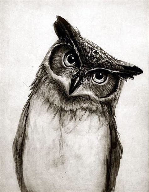 40 Realistic Animal Pencil Drawings - Bored Art | Pencil drawings of ...