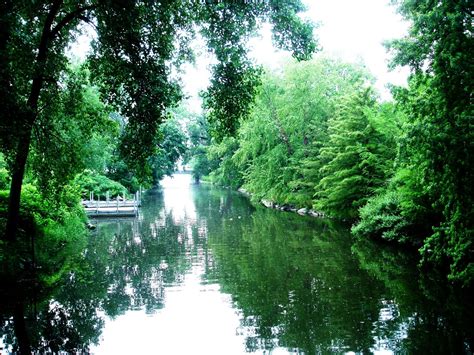 Follow My Bliss: A Morning Visit to Olbrich Botanical Gardens June 10, 2013