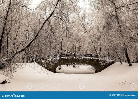 Beautiful Old Stone Bridge of Winter Forest in the Snow at Sunset Frosty Days. Trees Covered in ...