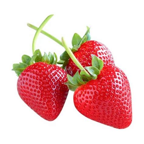 Long Stem Strawberry at Rs 100/kilogram | स्ट्रॉबेरी in Shimla | ID: 16574245333