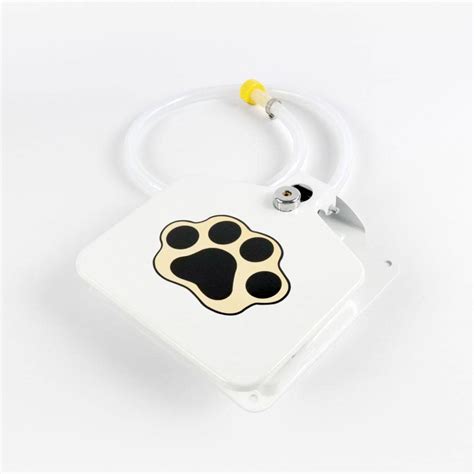 Automatic Outdoor Dog Water Fountain - SHOPISTERA!