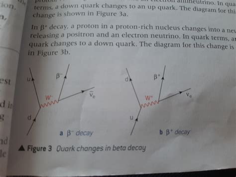 2 Quarks and Leptons Flashcards | Quizlet