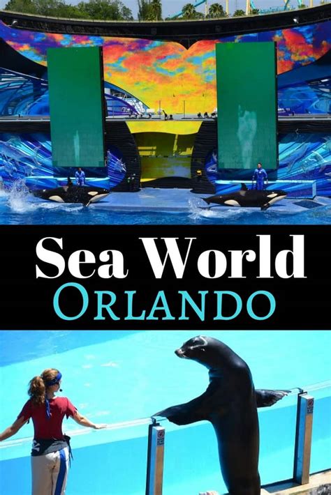 Best SeaWorld Orlando Attractions