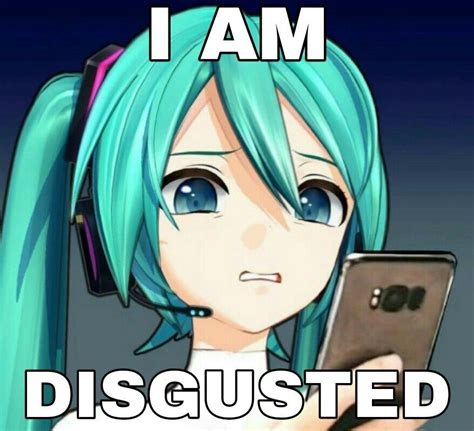 Vocaloid Funny, Miku Hatsune Vocaloid, Silly Images, Funny Images, Anime Meme, Funny Anime Pics ...