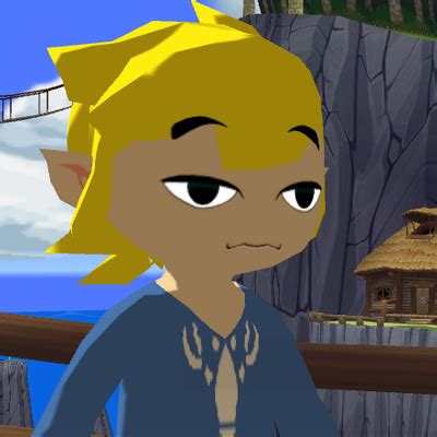 The Many Faces Of Toon Link | Wind waker, Legend of zelda, Zelda memes