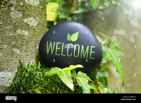 The Word „Welcome” on a stone in nature Stock Photo - Alamy