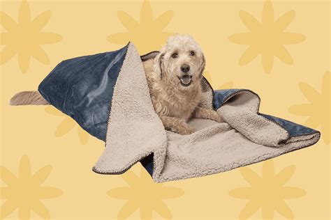 This Heated Dog Blanket from Amazon Will Give Your Pet the Toastiest ...