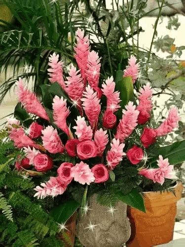 Pin on Flores animadas | Ginger flower, Tropical flower arrangements, Flower arrangements