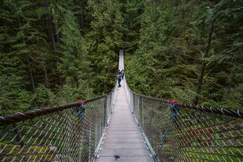 14 Unique & Fun Things to do in North Vancouver - Vancouver Tips