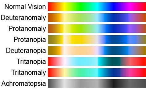 the color chart for different colors in an image, with each one being colored by its own