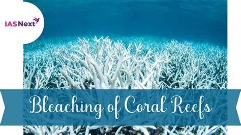 Bleaching of Coral Reefs