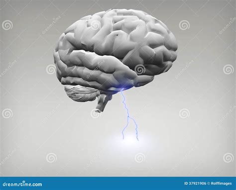 Brain Storm stock illustration. Illustration of concept - 37921906