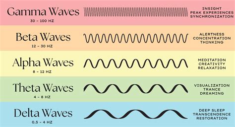 Understanding Brain Waves: Beta, Alpha, Theta, Delta + Gamma