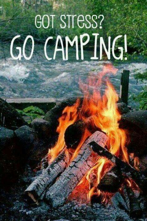 Pin by Cynthia Gore on I love camping | Go camping, Outdoor camping ...