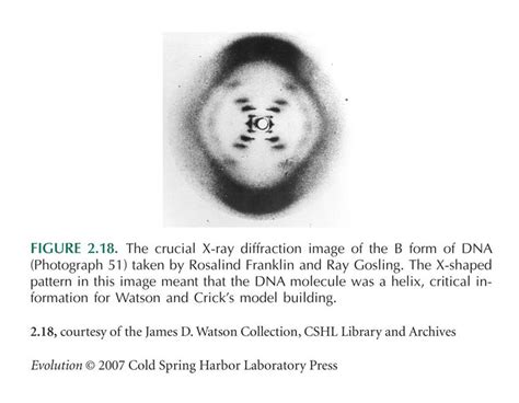 an article about the origin of the x - ray camera