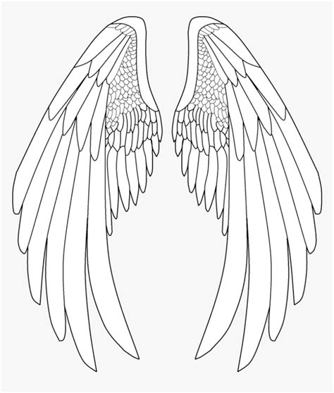 Elegant Drawing Angel Transparent - Anime Angel Wings Drawing, HD Png ...