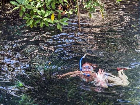 The Best Snorkeling in Tulum - Pristine Reefs and Epic Cenotes